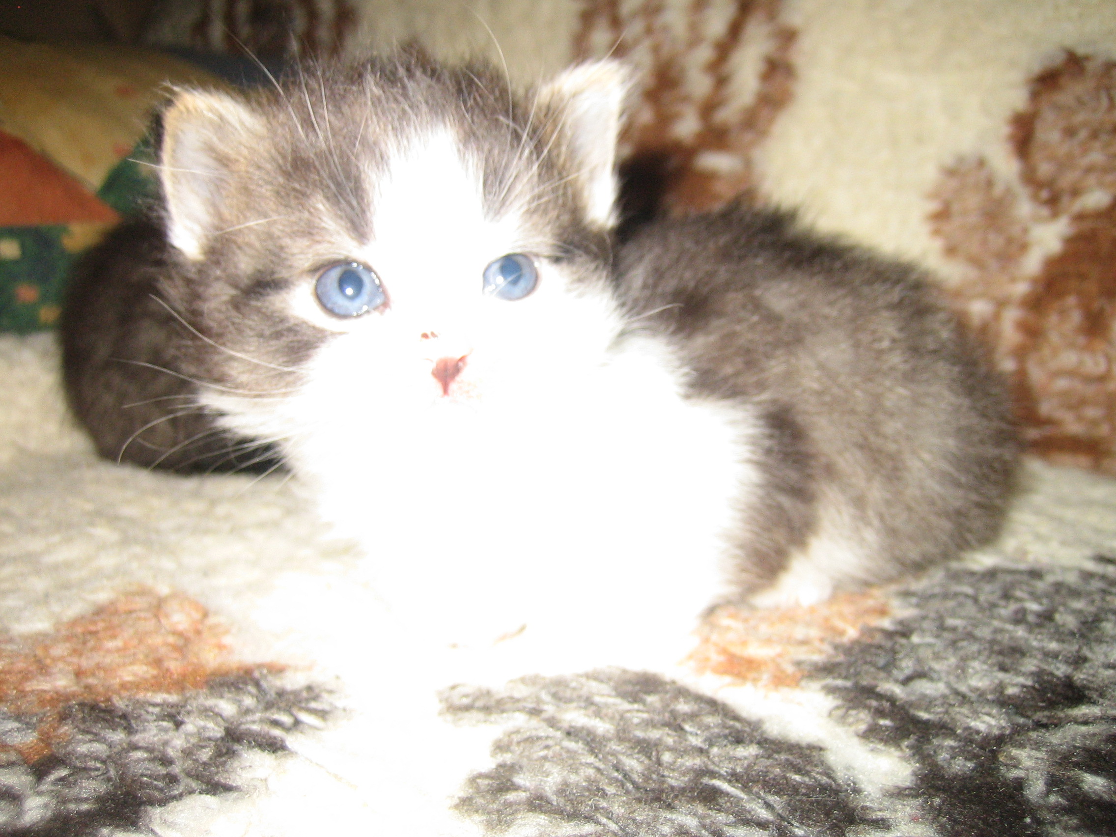 Srpen,Září 2010 132